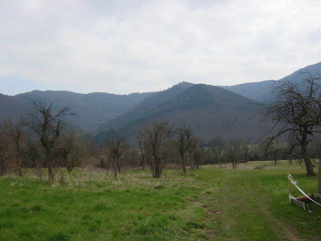 ACHETER MAISON WALBACH